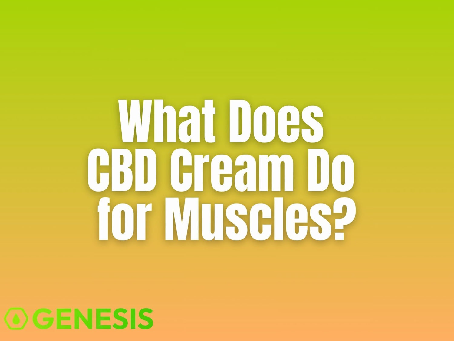 CBD Cream for Muscles: Relief and Recovery