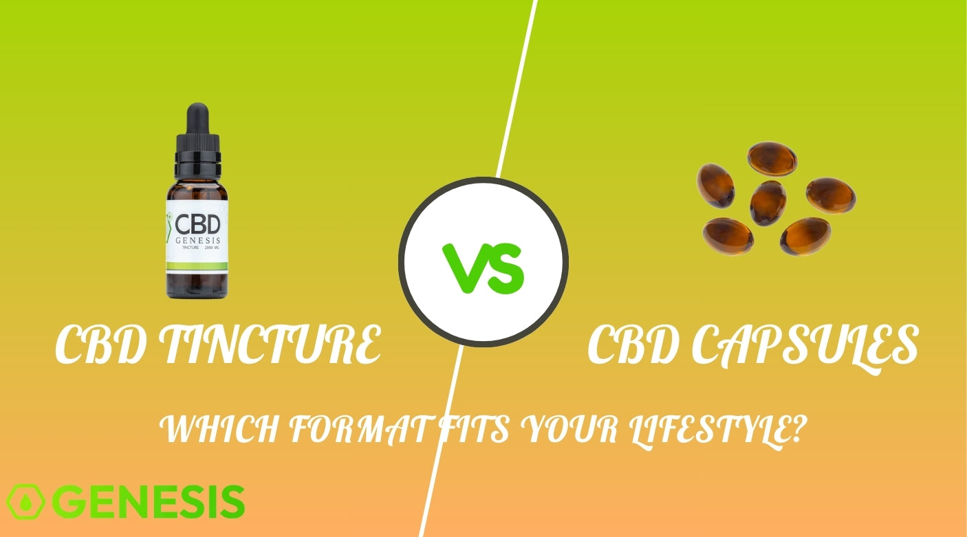CBD Tincture Vs Capsules | Key Differences Explained