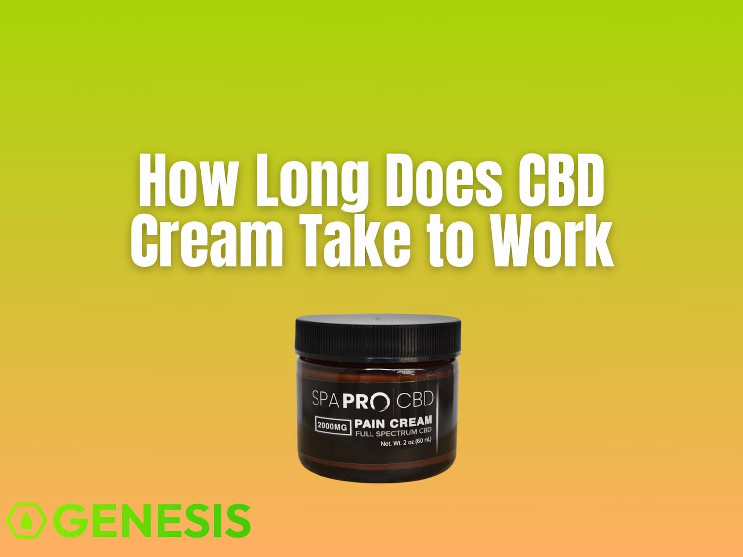 CBD Cream Timing and Effects Explained