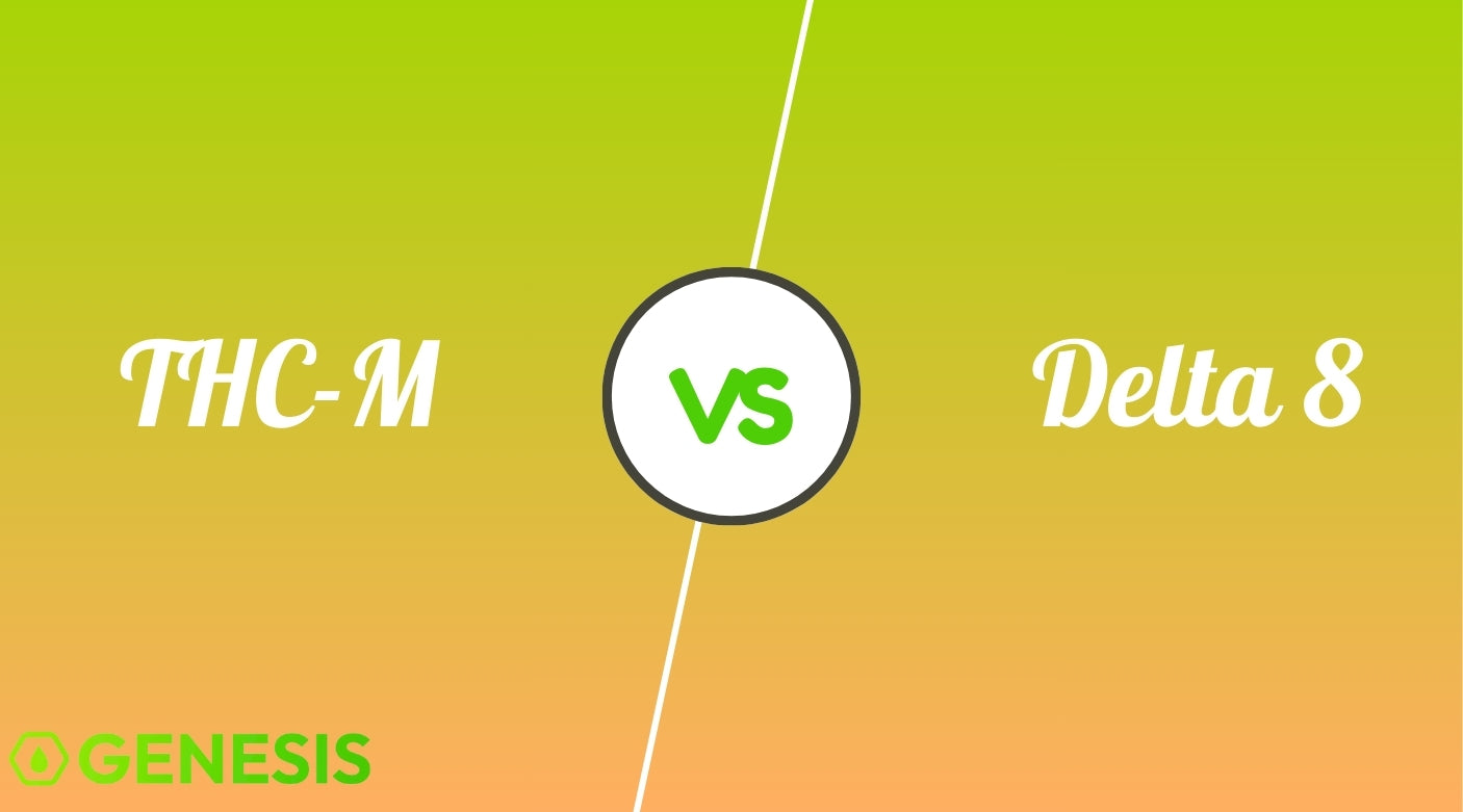 THC-M vs Delta 8: Why Delta 8 Remains the Trusted Choice