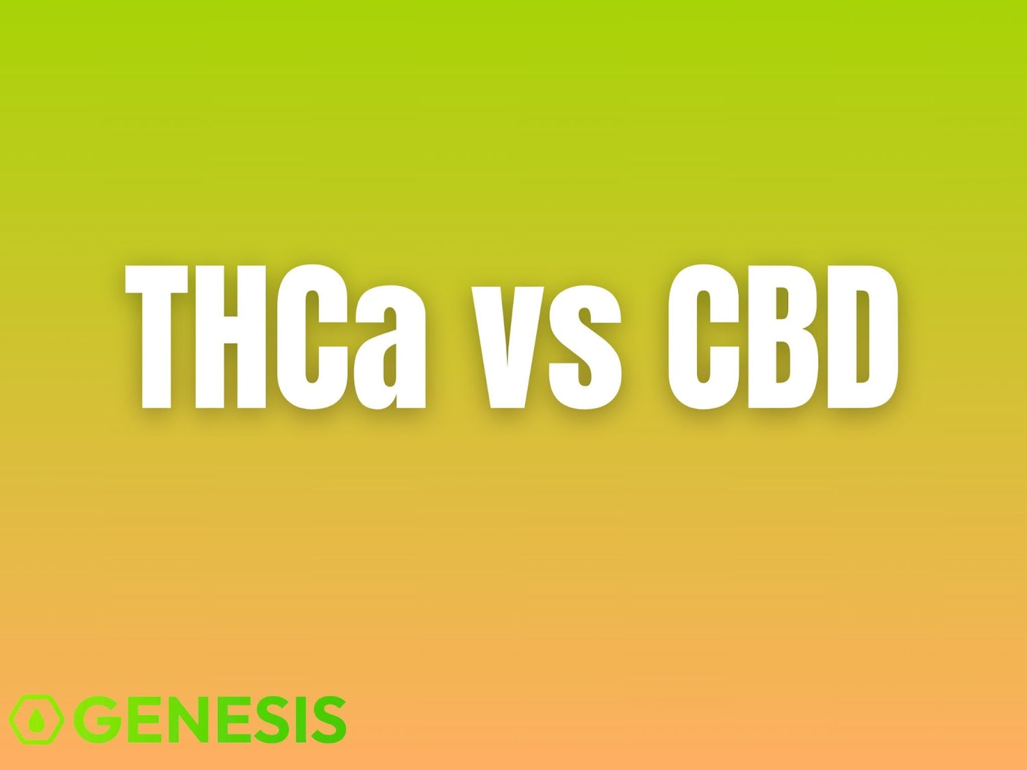 THCa vs CBD Explained Simply with Real Product Guidance