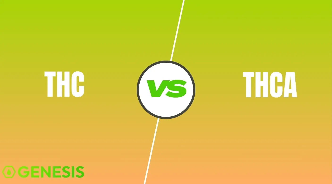 THCA vs THC: What’s the Real Difference and Which Should You Use?
