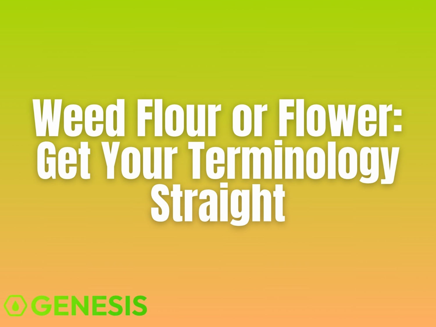 Cannabis Flour or Flower? Here’s What You Need to Know
