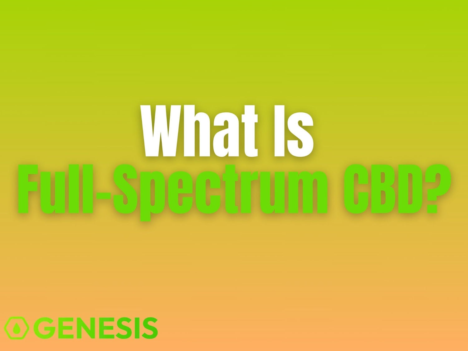 What Is Full-Spectrum CBD? A Clear Beginner’s Guide