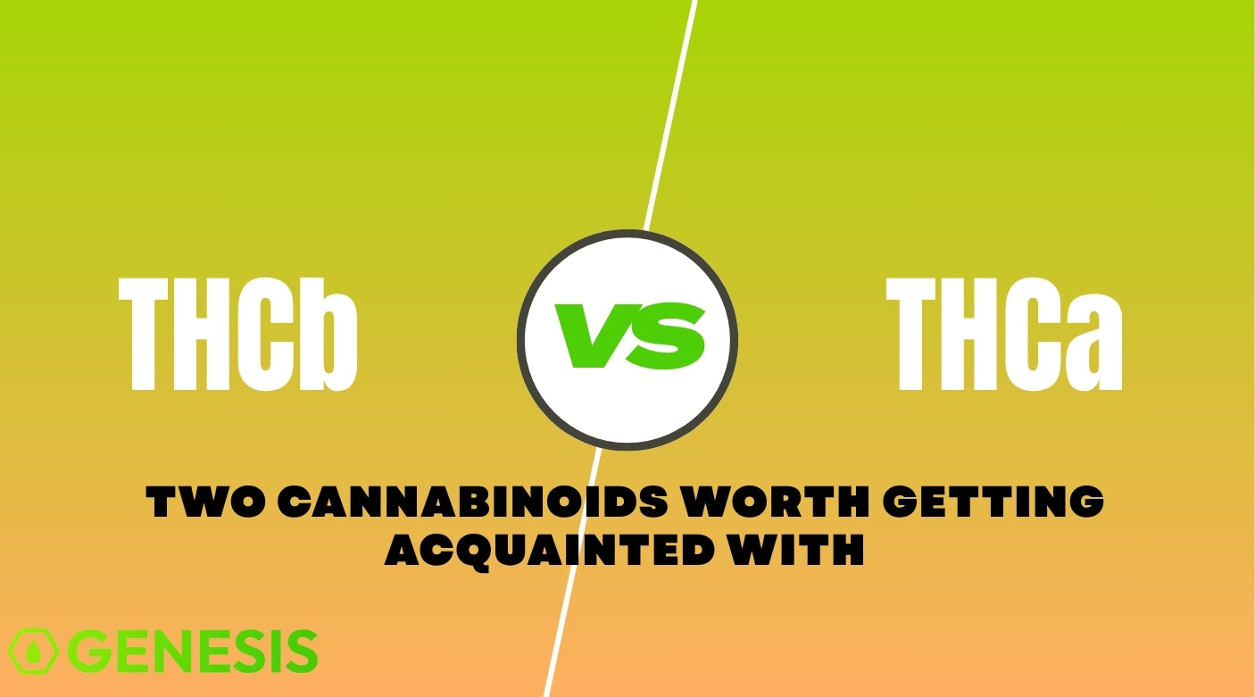 What Is THCb and How Is It Different from THCa