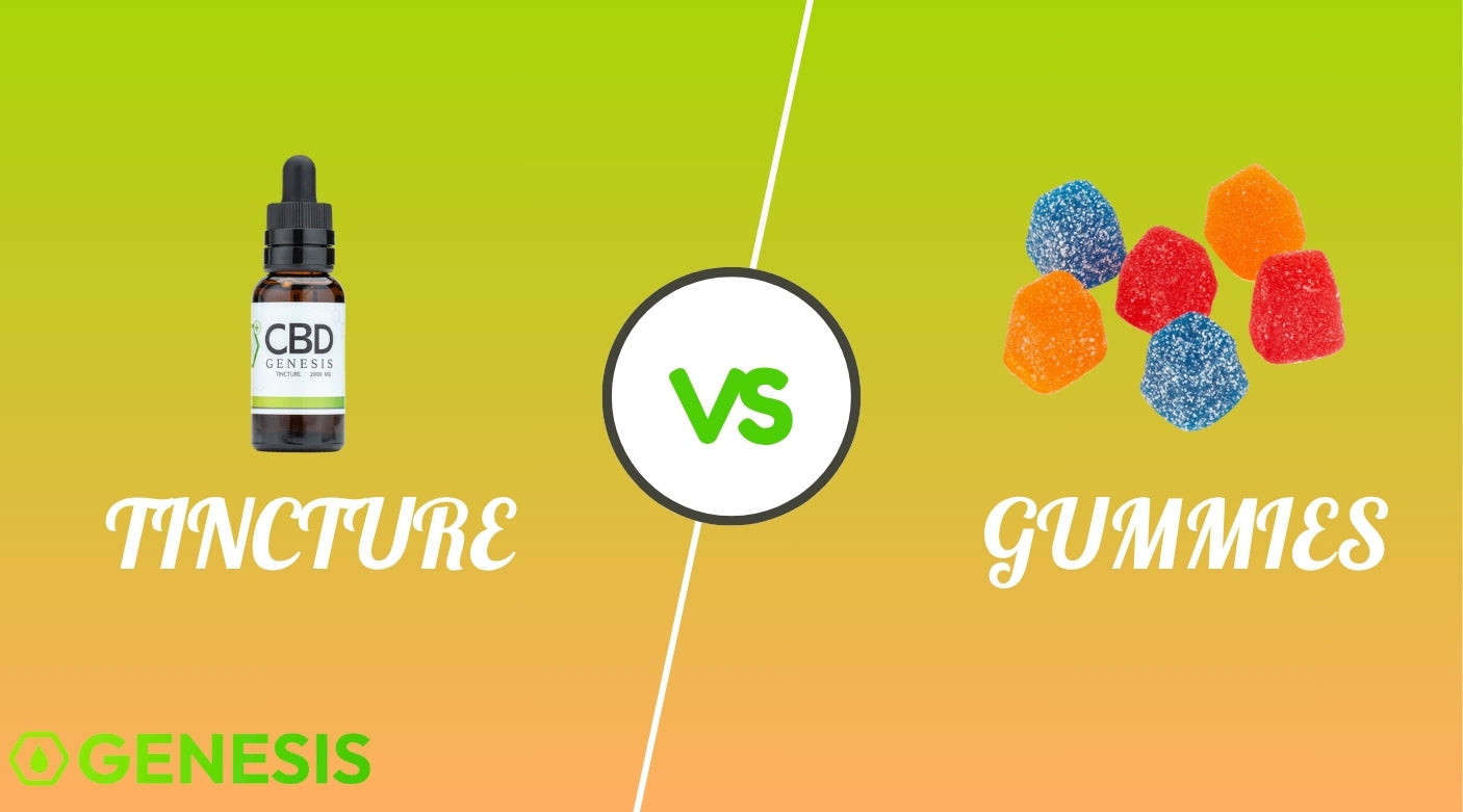 CBD Gummies vs Tinctures: Find the Right Fit for Your Body