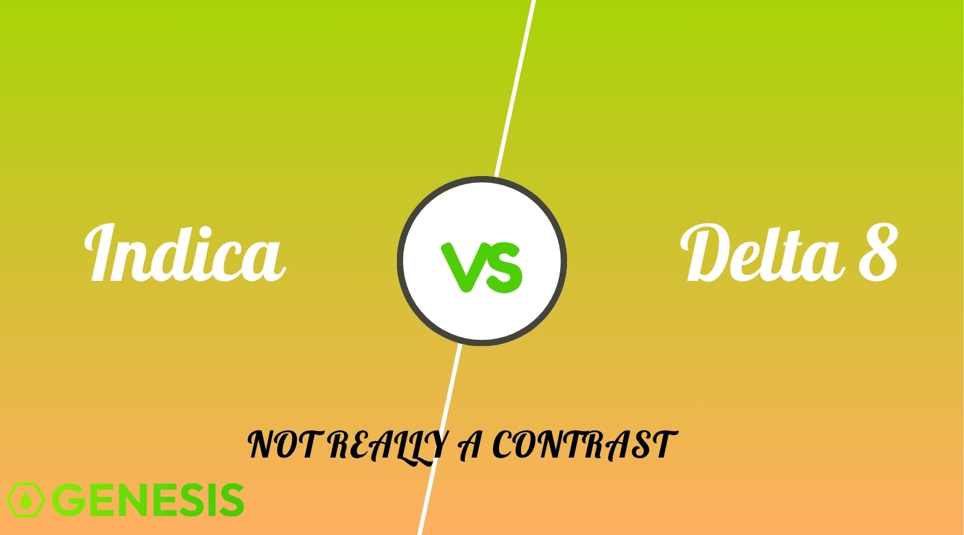 Choosing Between Indica and Sativa Delta 8 Products