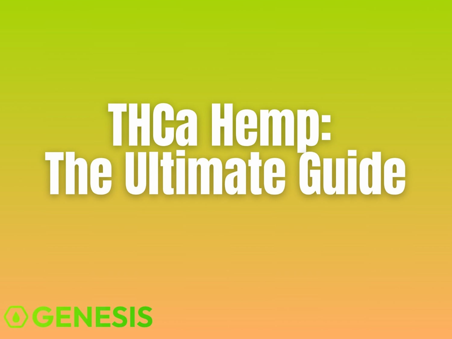 Is THCa Hemp Legal and Worth It? A Complete Buyer’s Guide