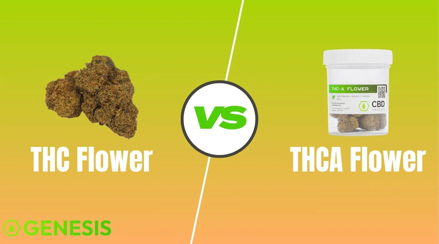 THCA vs THC Flower Explained for Personal and Legal Clarity